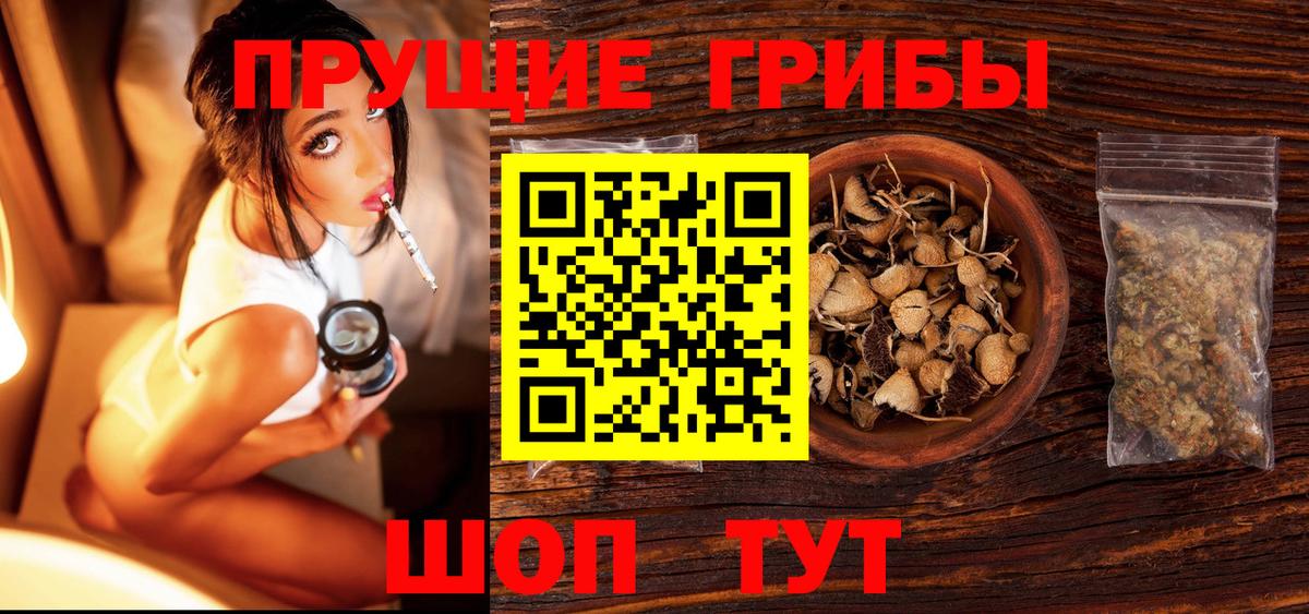 Псилоцибиновые грибы Magic Shrooms  продажа наркотиков  Ревда  Вход с VPN  Псилоцибиновые грибы ЛСД 